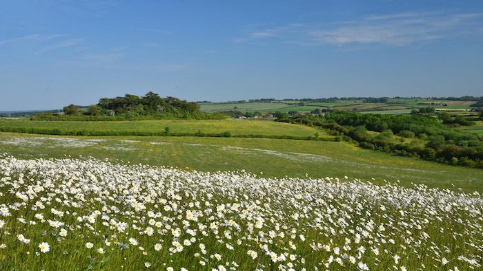 nature north belchford