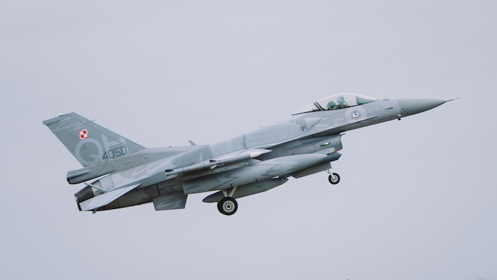 cobra warrior 2026 3