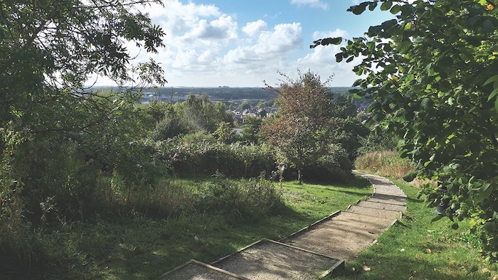 Green spaces Liquorice Park Rachel Shaw