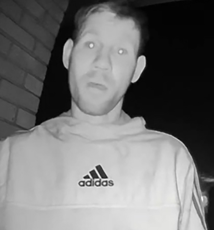 sneak in burg 2