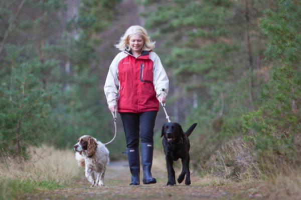 Be a responsible dog owner on country walks