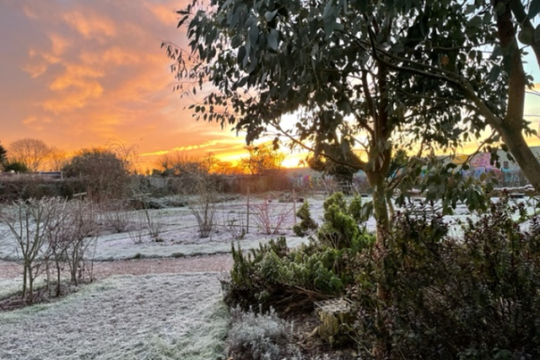 Community Counts – news and resources to help local people