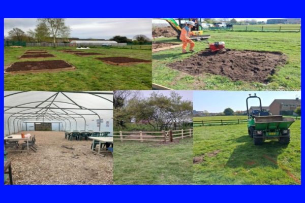 Contractors create school garden