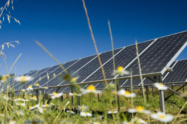 Hands off our farmland – county council objects to solar site
