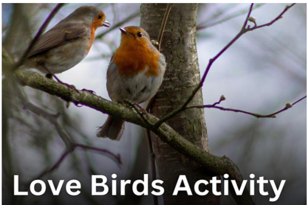 Love Birds activities at city parks