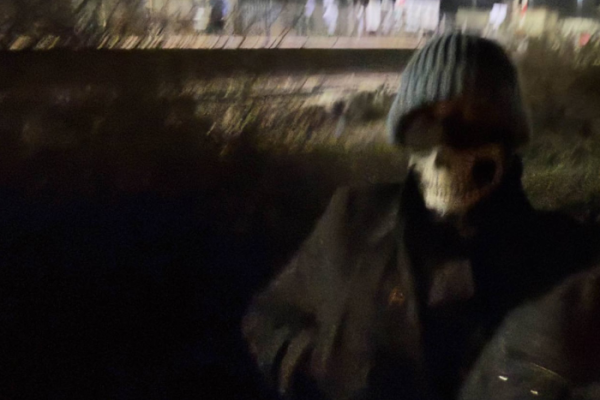 Lyndan could have been wearing skull snood