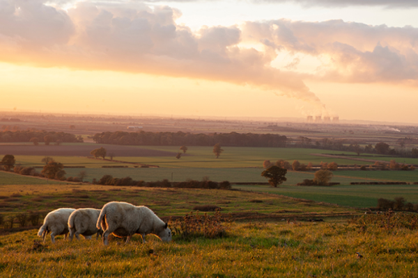 More land needed for Central Lincolnshire Plan