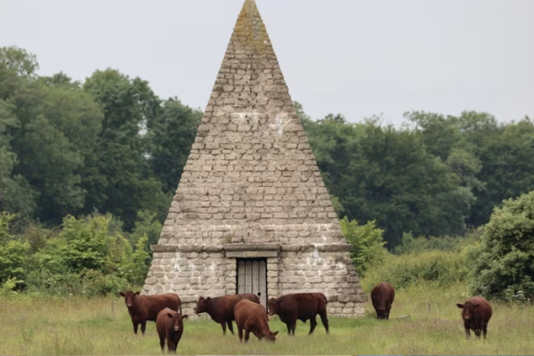 NHS offset construction of endoscopy unit through Wilder Doddington