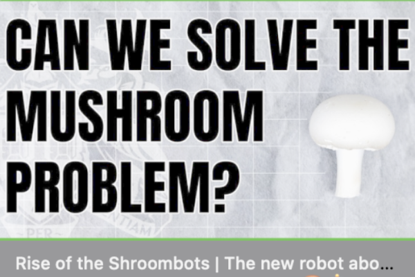 Not ‘mushroom’ for robots – solving harvesting problems