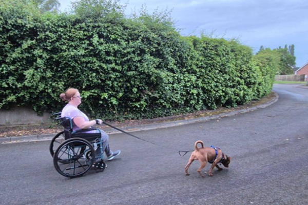 Rebecca and Toffee go the extra mile for charity