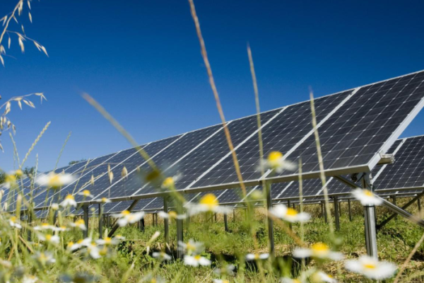 UK’s biggest solar farm will be just outside Lincoln